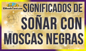 Soñar con moscas negras
